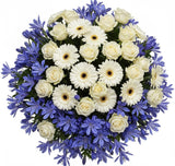 White Flowers in Agapanthus Nest Bouquet - Flowers Box London