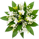 White Freesias and Lily of Valley Bouquet