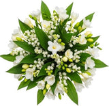 White Freesias and Lily of Valley Bouquet - Flowers Box London