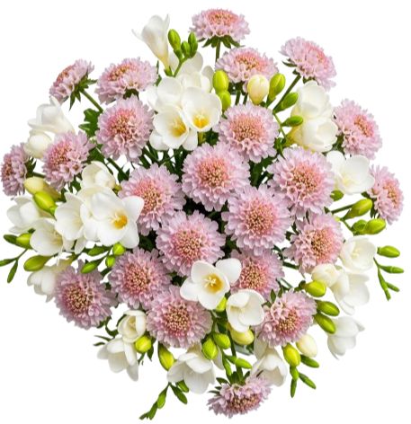 White Freesias and Scobios Bouquet