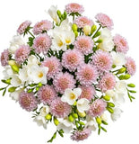 White Freesias and Scobiosa Bouquet - Flowers Box London
