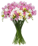 White Freesias and Sweet Pea Bouquet - Flowers Box London
