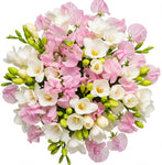 White Freesias and Sweet Pea Bouquet - Flowers Box London