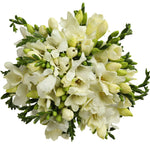 White Freesias Bouquet