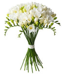 White Freesias Bouquet