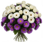 White Gerberas and Roses with Chinensis Aster Bouquet