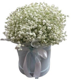 White Gypsophila Box - Flowers Box London