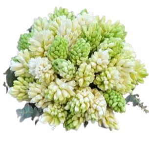 White Hyacinth Bouquet