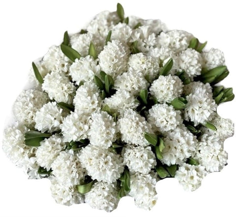 White Hyacinth Bouquet - Flowers Box London