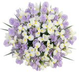 White Iris and Sweet Peas Bouquet - Flowers Box London