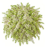 White Lilac Bouquet