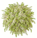 White Lilac Bouquet