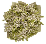 White Lilac Bouquet - Flowers Box London