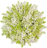 White Lilac Bouquet - Flowers Box London