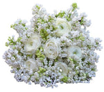 White Lilac & Ranunculus Bouquet