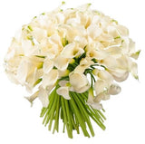 White Mini Calla Lily Bouquet - Flowers Box London