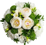 White Peony and Freesias with Green Accent Bouquet - Flowers Box London