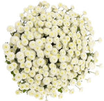 White Rio Tanacetum Bouquet - Flowers Box London