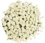 White Rio Tanacetum Bouquet