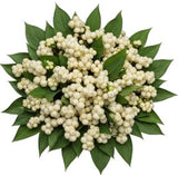 White Snowberry Pretty Bouquet - Flowers Box London