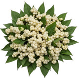 White Snowberry Pretty Bouquet