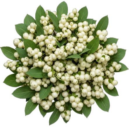 White Snowberry Pretty Bouquet