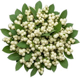 White Snowberry Pretty Bouquet - Flowers Box London