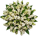 White Snowberry Pretty Bouquet - Flowers Box London
