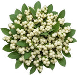 White Snowberry Pretty Bouquet - Flowers Box London