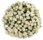 White Spray Roses Bouquet - Flowers Box London
