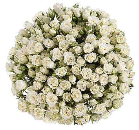 White Spray Roses Bouquet - Flowers Box London
