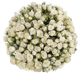 White Spray Roses Bouquet