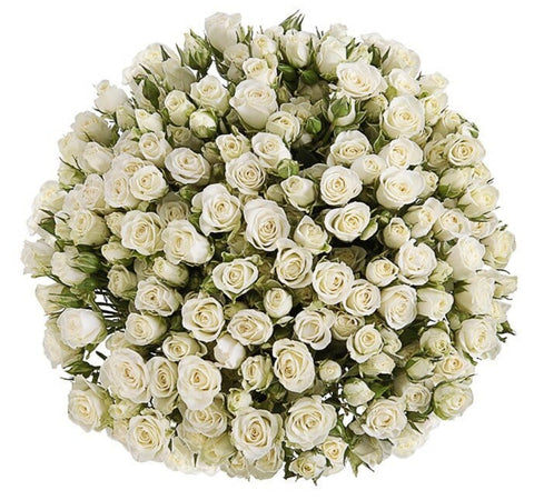 White Spray Roses Bouquet