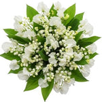 White Sweet Pea and Lily of Valley Bouquet - Flowers Box London