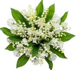 White Sweet Pea and Lily of Valley Bouquet - Flowers Box London
