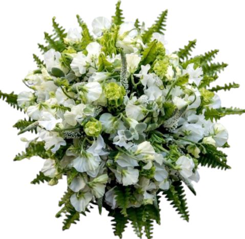 White Sweet Pea & Veronica Bouquet