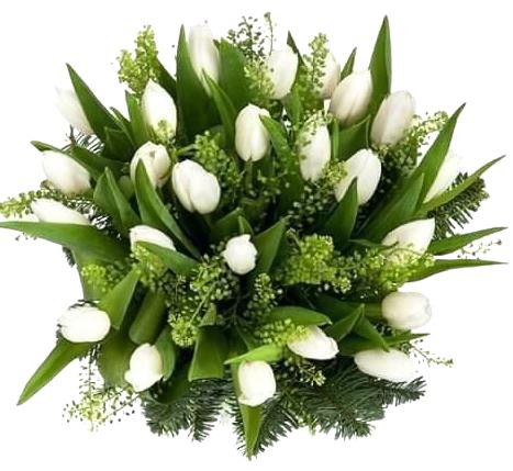 White Tulips with Green Bell Bouquet
