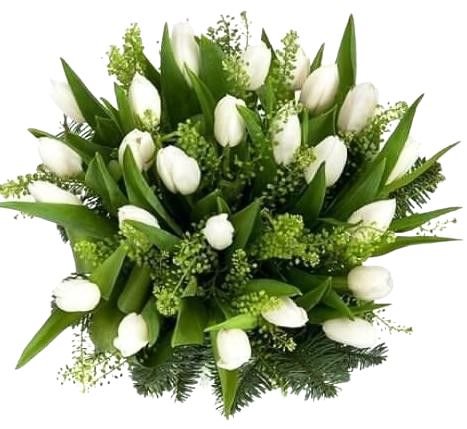 White Tulips with Green Bell Bouquet - Flowers Box London