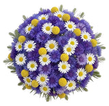 Wild Meadow Bouquet - Flowers Box London