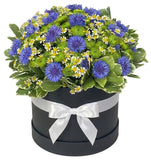 Wildflowers Garden Box - Flowers Box London