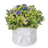 Wildflowers Garden Box - Flowers Box London