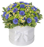 Wildflowers Garden Box - Flowers Box London