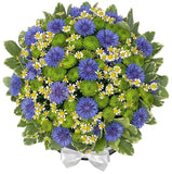 Wildflowers Garden Box - Flowers Box London