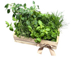 Wooden Crate of Aromatic Herbs