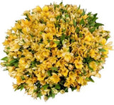 Yellow Alstroemeria Bouquet - Flowers Box London
