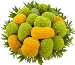 Yellow and Green Celosia Bouquet