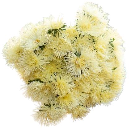 Yellow China Aster Bouquet - Flowers Box London
