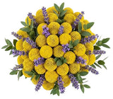 Yellow Craspedia with Lavender Bouquet - Flowers Box London