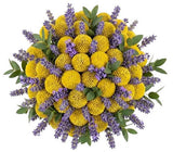 Yellow Craspedia with Lavender Bouquet - Flowers Box London