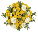 Yellow Craspedia with Scabiosa Bouquet - Flowers Box London